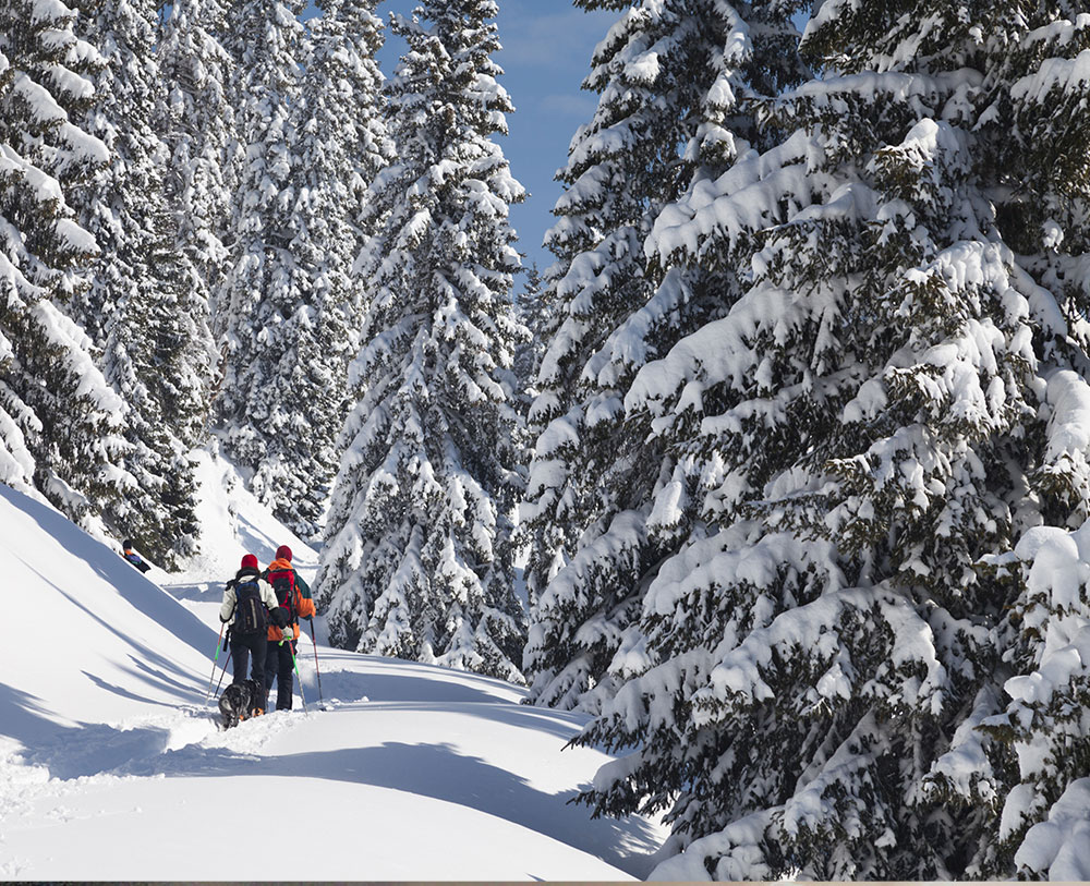 Vorsicht, Umsicht und Rücksicht beim Skitourengehen