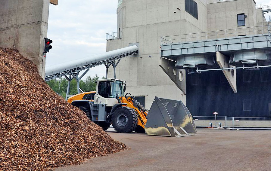Biomasse gilt weiterhin als erneuerbar