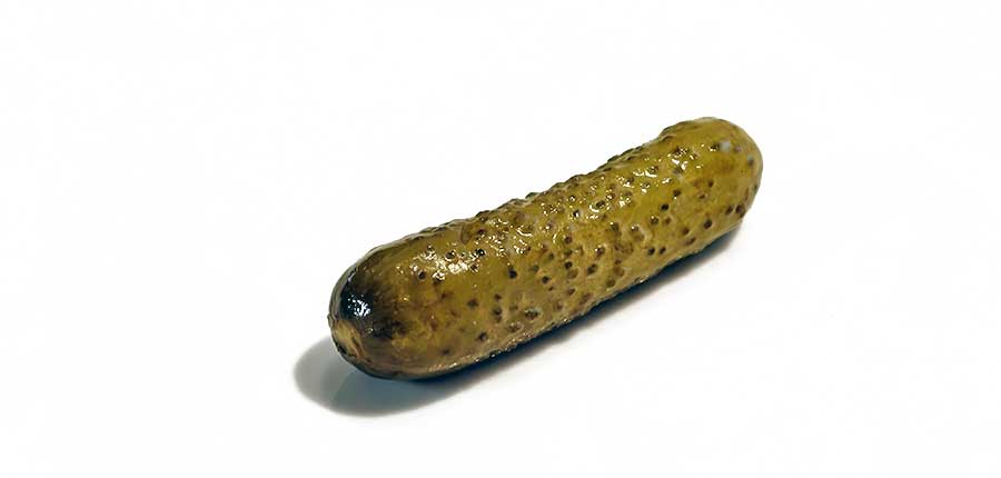 Essiggurkerl im Test: Kein einziges "Sehr gut"