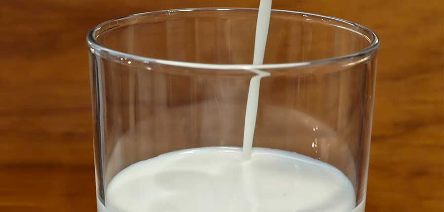 Haferdrink vs. Kuhmilch: Reiner Klimafokus zu kurz gedacht