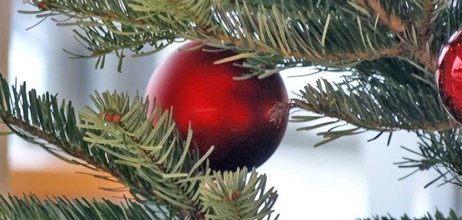 Drei Viertel feiern Weihnachten mit Familie zuhause