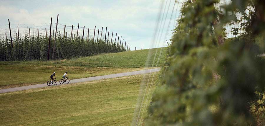 Mühlviertel setzt auf Radkultur als touristisches Highlight 2026