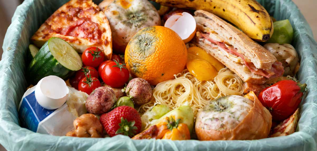 Lebensmittel-Verschwendung: Ein Drittel der Ressourcen landet im Müll