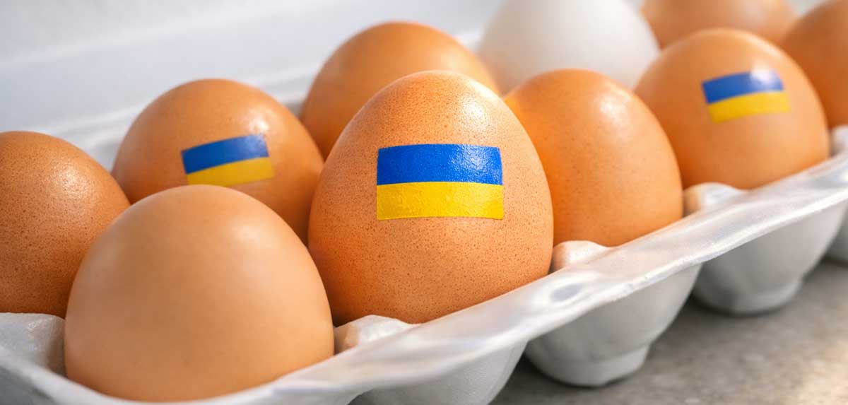 75.000 nicht gekennzeichnete Eier aus der Ukraine in Wien gestoppt