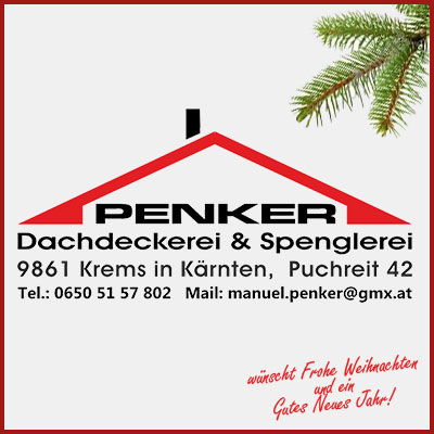 Dachdecker Manuel Penker